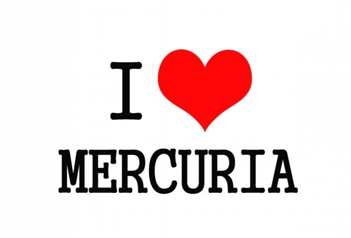 Yhteishaku 2019 Mercuriassa.